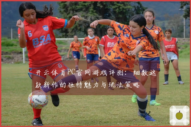 开云体育PC官网游戏评测：细数这款新作的独特魅力与玩法策略