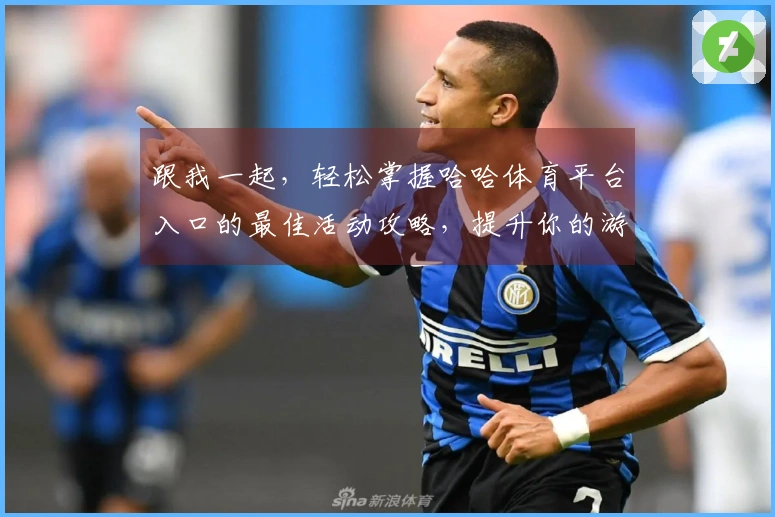 跟我一起，轻松掌握哈哈体育平台入口的最佳活动攻略，提升你的游戏体验！