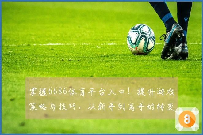 掌握6686体育平台入口！提升游戏策略与技巧，从新手到高手的转变之路